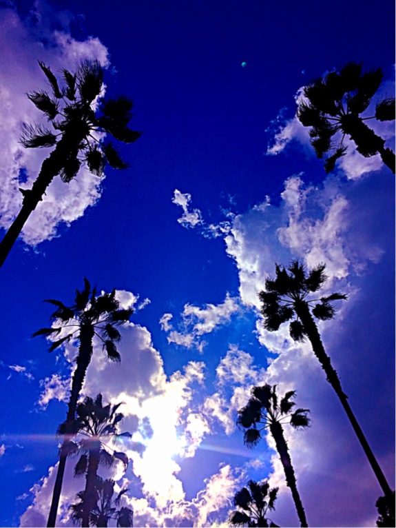 "Palms in the Clouds" (Orange County, CA)