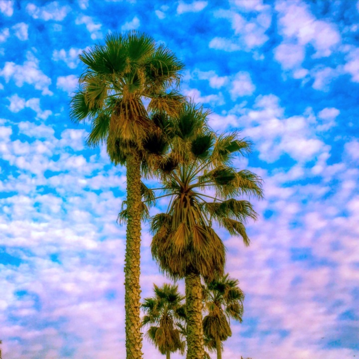 "Across the Sky" (Ventura County, CA)