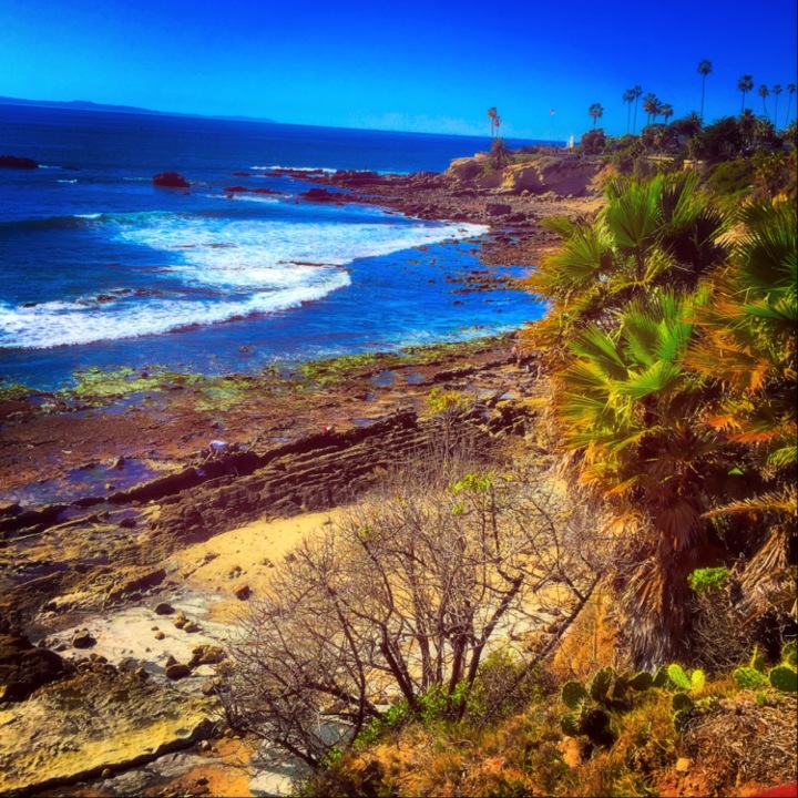 "A View to Cherish" (Laguna Beach, CA)