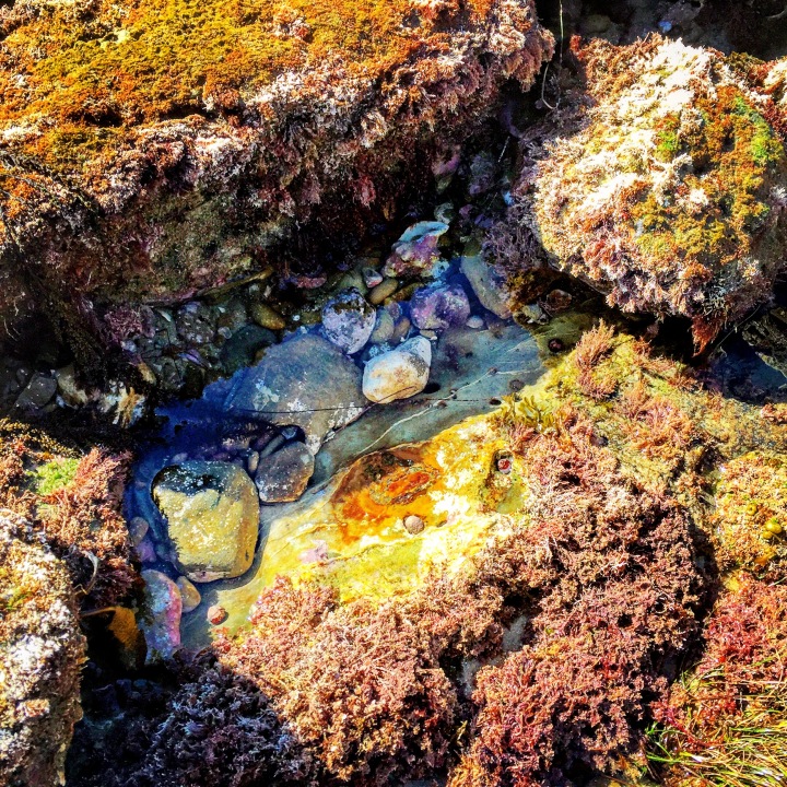 "Colors of the Sea" (Laguna Beach, CA)
