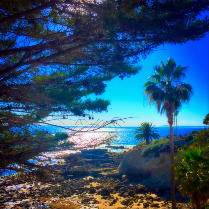"Through the Eyes, I See the Beauty" (Laguna Beach, CA)