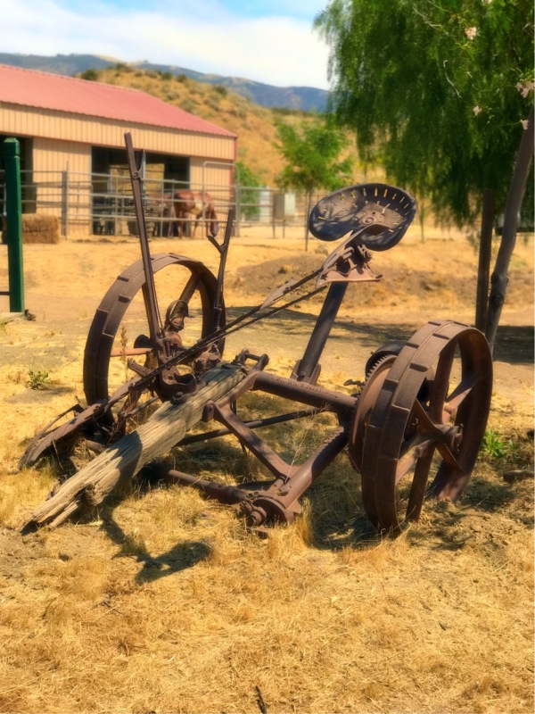 horse ranch in California